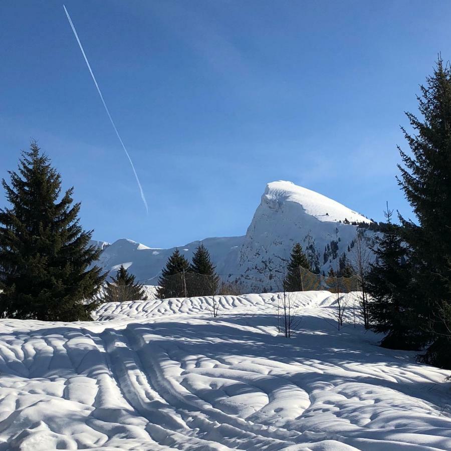 L'Ours Blanc Lodge Le Biot Luaran gambar